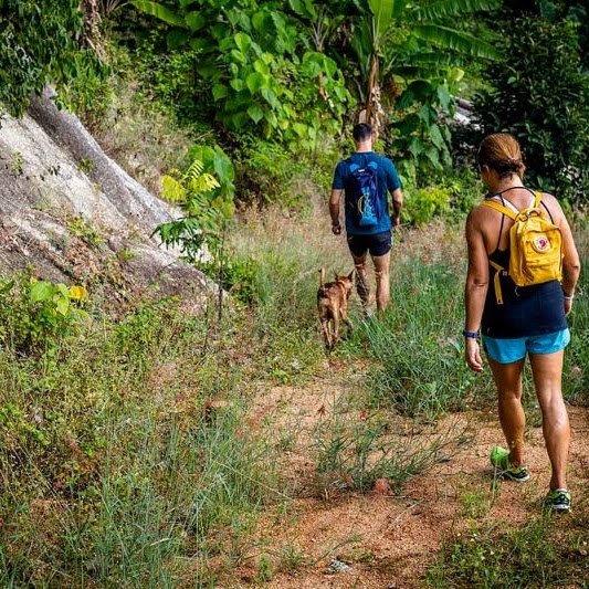 A Camel Trip group hiking a mountain trail together
